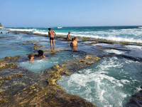 /album/fotogaleria-sri-lanka-maldivy-zajazd-vy-a-my/ambulawawa-sri-lanka-12-jpg/